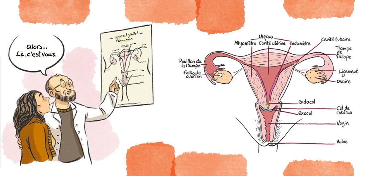 Le Choeur des Femmes : guide illustré sur leur santé intime