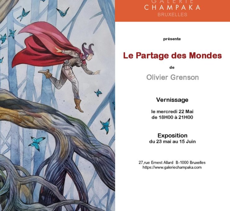 Exposition : Olivier Grenson (Le Partage des Mondes)